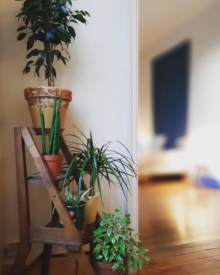 Maison Saint James Montélimar エクステリア 写真